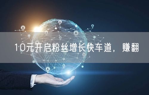 10元开启粉丝增长快车道，赚翻