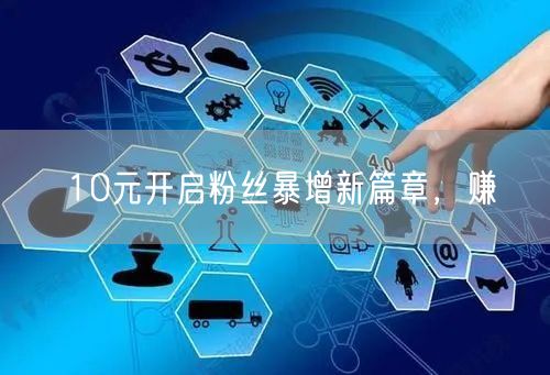 10元开启粉丝暴增新篇章，赚