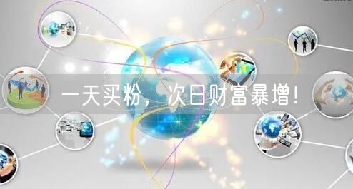 一天买粉，次日财富暴增！
