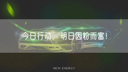 今日行动，明日因粉而富！