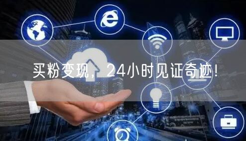 买粉变现，24小时见证奇迹！