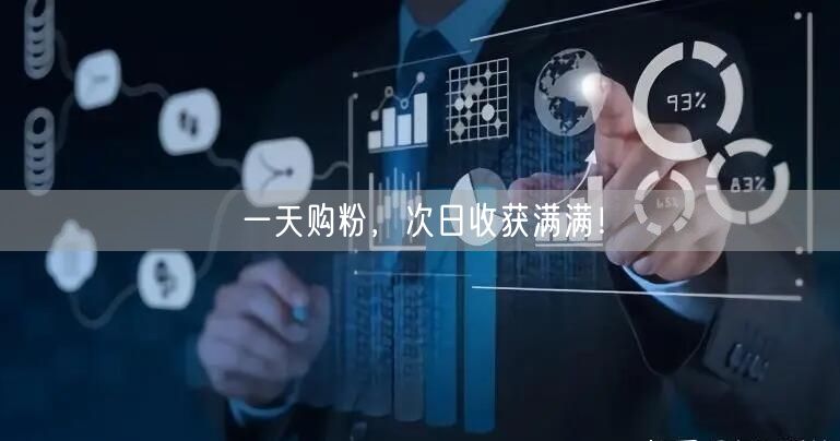 一天购粉，次日收获满满！