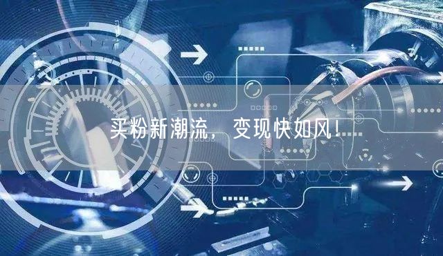 买粉新潮流，变现快如风！