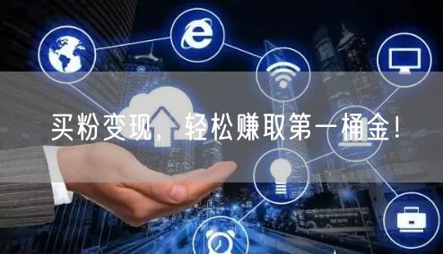 买粉变现，轻松赚取第一桶金！