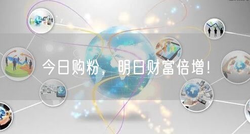 今日购粉，明日财富倍增！