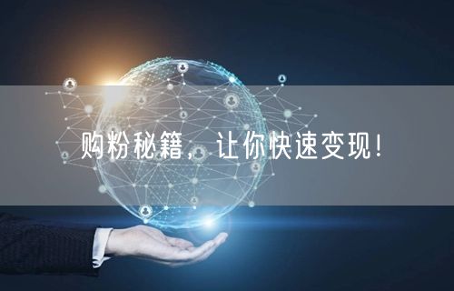 购粉秘籍，让你快速变现！