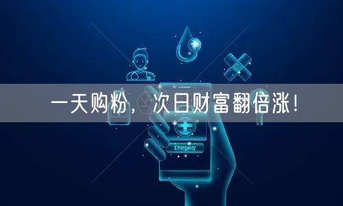 一天购粉，次日财富翻倍涨！
