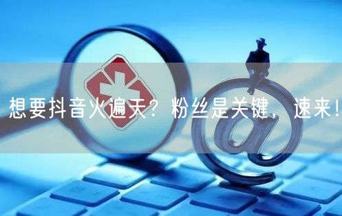 想要抖音火遍天？粉丝是关键，速来！