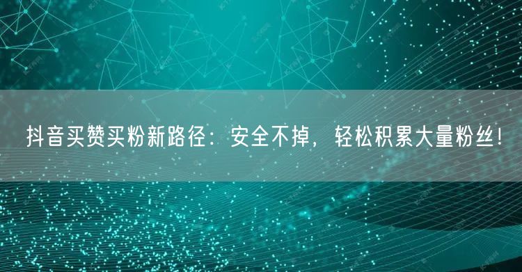 抖音买赞买粉新路径：安全不掉，轻松积累大量粉丝！
