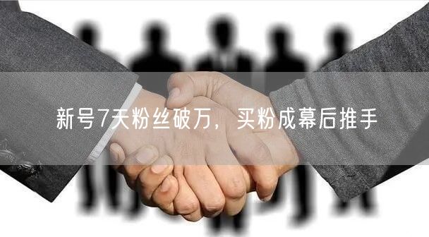 新号7天粉丝破万，买粉成幕后推手