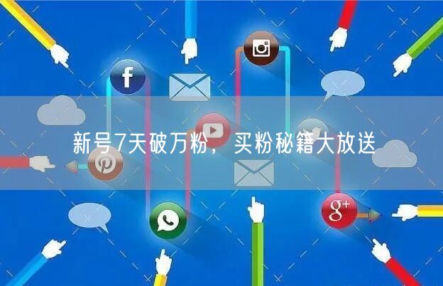 新号7天破万粉，买粉秘籍大放送