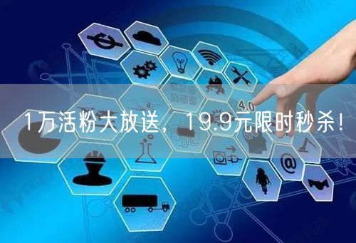 1万活粉大放送,19.9元限时秒杀!
