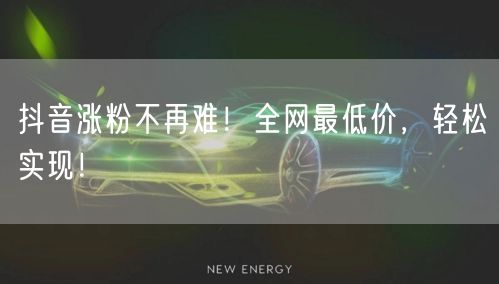 抖音涨粉不再难！全网最低价，轻松实现！