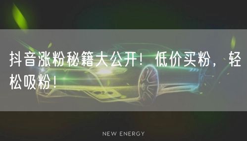 抖音涨粉秘籍大公开！低价买粉，轻松吸粉！