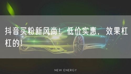 抖音买粉新风尚！低价实惠，效果杠杠的！