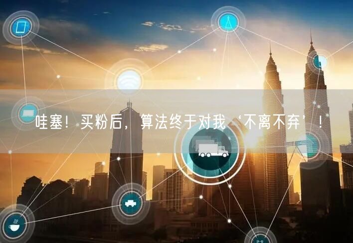 哇塞！买粉后，算法终于对我‘不离不弃’！