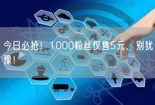 今日必抢！1000粉丝仅售5元，别犹豫！