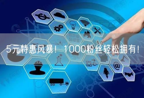 5元特惠风暴！1000粉丝轻松拥有！