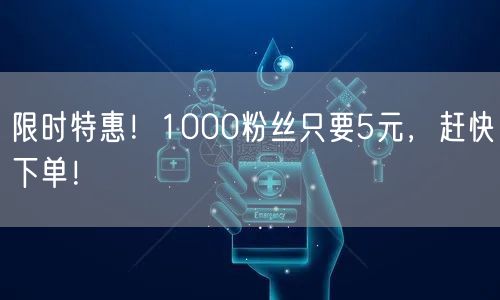 限时特惠！1000粉丝只要5元，赶快下单！