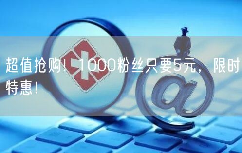超值抢购！1000粉丝只要5元，限时特惠！