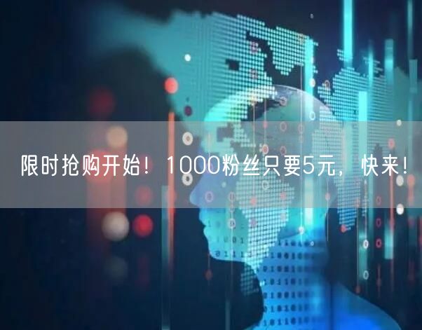 限时抢购开始！1000粉丝只要5元，快来！