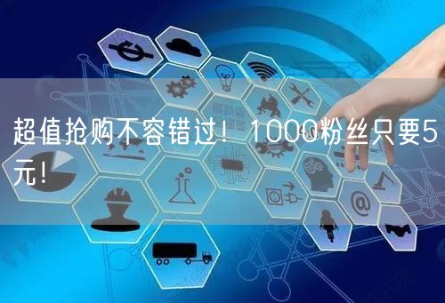 超值抢购不容错过！1000粉丝只要5元！