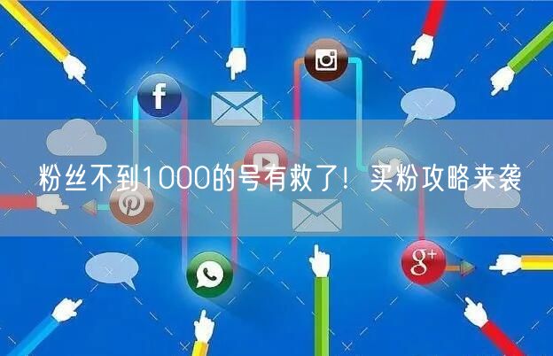 粉丝不到1000的号有救了！买粉攻略来袭
