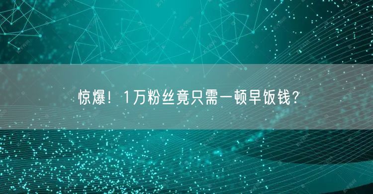 惊爆!1万粉丝竟只需一顿早饭钱?