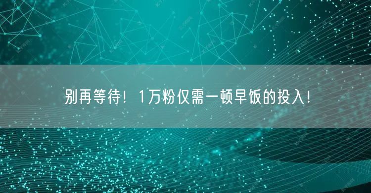 别再等待！1万粉仅需一顿早饭的投入！