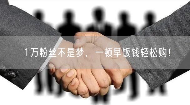 1万粉丝不是梦，一顿早饭钱轻松购！