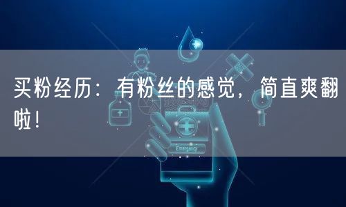 买粉经历：有粉丝的感觉，简直爽翻啦！