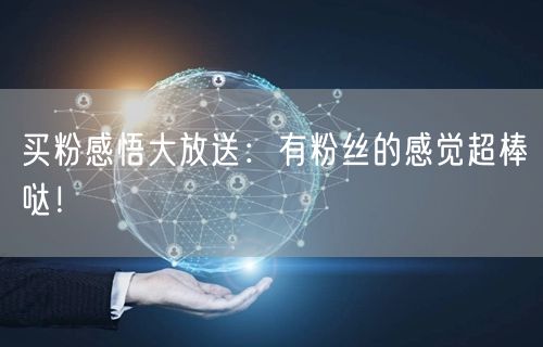 买粉感悟大放送：有粉丝的感觉超棒哒！