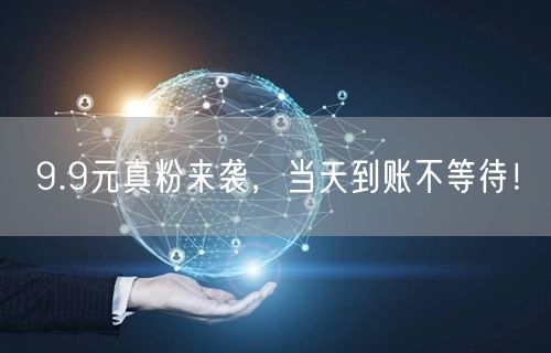 9.9元真粉来袭，当天到账不等待！