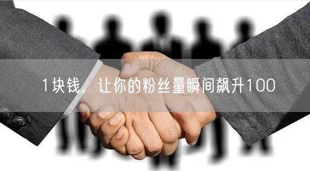 1块钱，让你的粉丝量瞬间飙升100