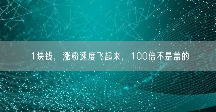 1块钱，涨粉速度飞起来，100倍不是盖的