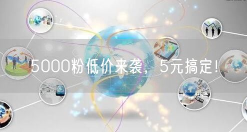 5000粉低价来袭，5元搞定！
