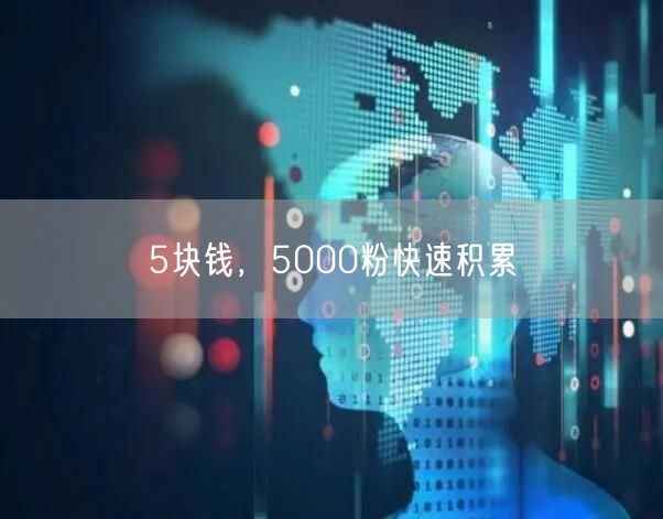 5块钱，5000粉快速积累