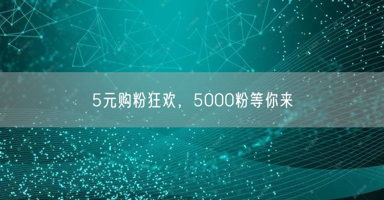 5元购粉狂欢，5000粉等你来