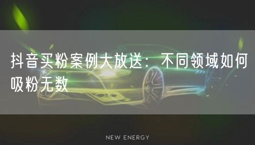 抖音买粉案例大放送：不同领域如何吸粉无数