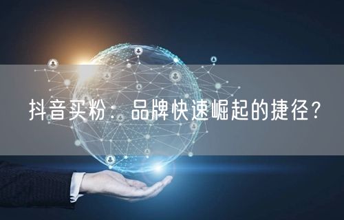 抖音买粉：品牌快速崛起的捷径？