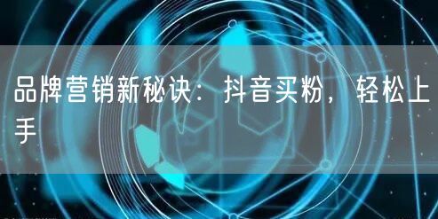 品牌营销新秘诀：抖音买粉，轻松上手