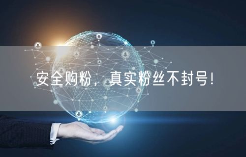 安全购粉，真实粉丝不封号！