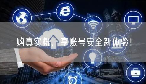 购真实粉，享账号安全新体验！