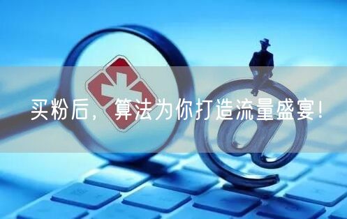买粉后，算法为你打造流量盛宴！