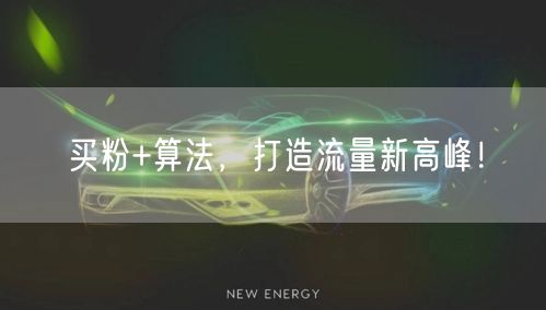 买粉+算法，打造流量新高峰！