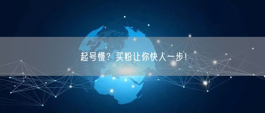 起号慢？买粉让你快人一步！