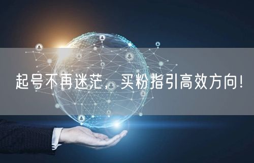 起号不再迷茫，买粉指引高效方向！