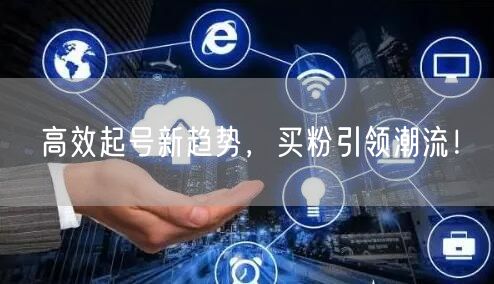 高效起号新趋势，买粉引领潮流！