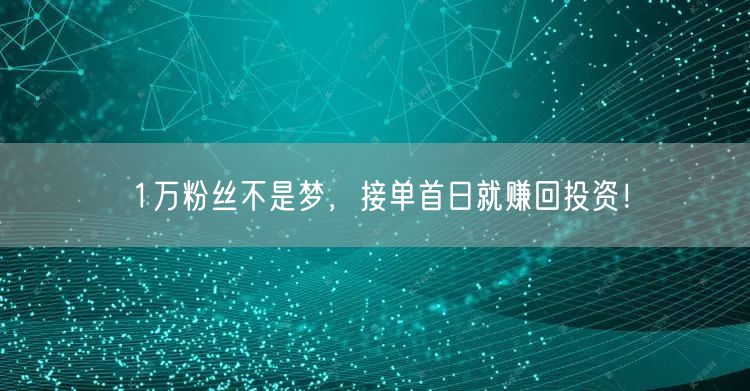 1万粉丝不是梦，接单首日就赚回投资！