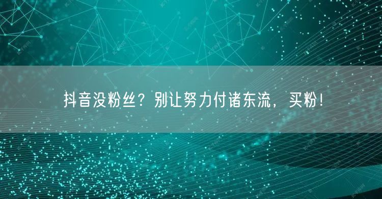 抖音没粉丝？别让努力付诸东流，买粉！